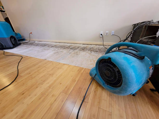 Professional Structural Drying technician working in Mequon, WI